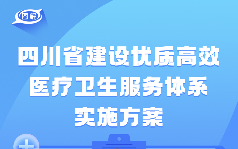 新澳精准资料2024第5期,高效方案实施设计_体验版35.128