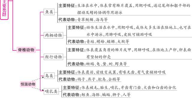 三肖必中三期必出资料,实践经验解释定义_SP18.494