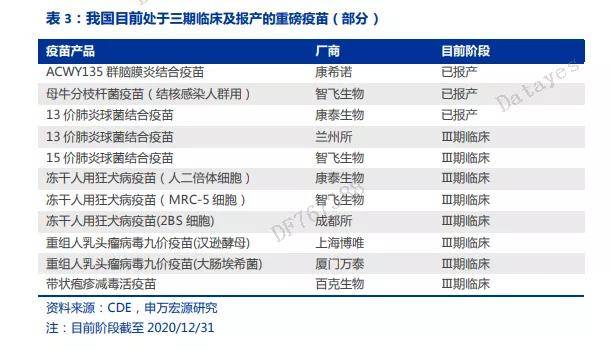 2024澳门正版资料大全,现状分析说明_精简版105.220