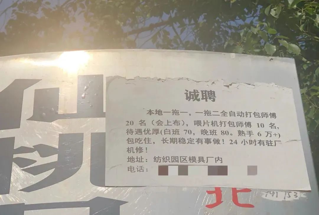 红寺堡最新招聘启事，职业发展的黄金机遇