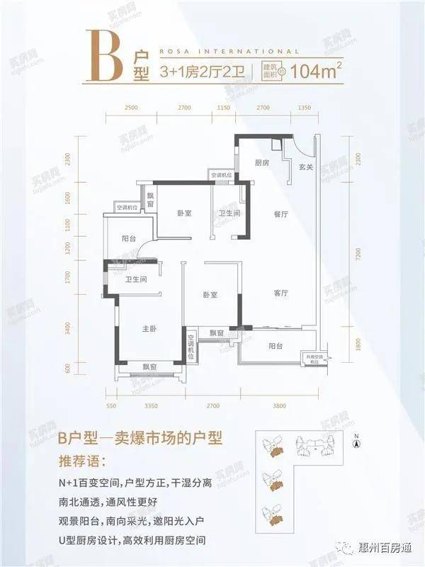 张宏良博客文章解读与展望，深度剖析最新文章内容