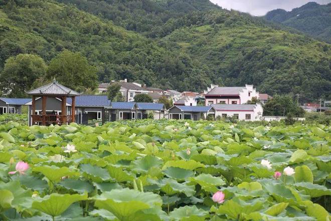 石泉池河镇，发展与变迁的最新动态