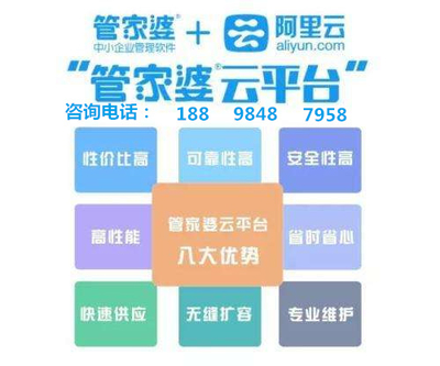 管家婆资料精准一句真言,持久性计划实施_iShop72.652