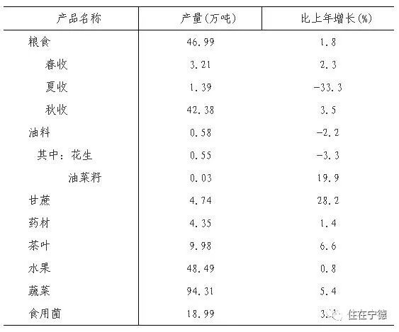 新澳门三期内必出生肖,统计解答解释定义_vShop12.689