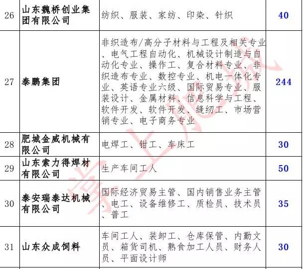 肥城市教育局最新招聘公告概览