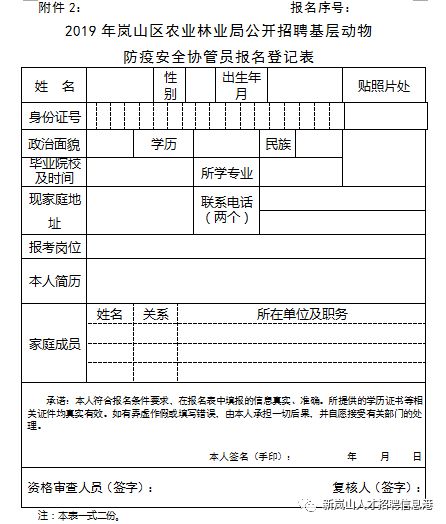 2024年12月4日 第10页