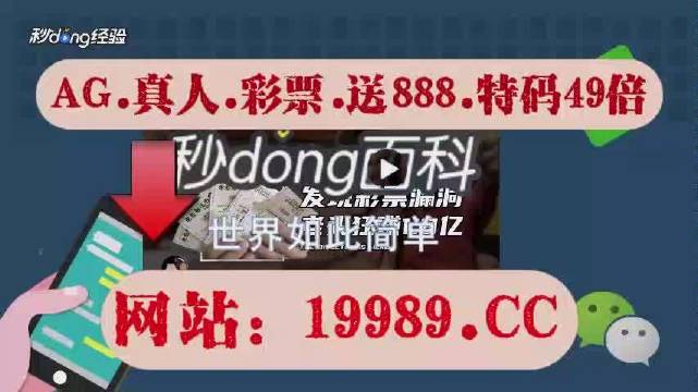 澳门六开奖结果2024开奖记录今晚直播,动态词语解释落实_专业款34.170