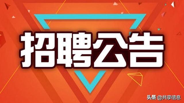 修武县住房和城乡建设局最新招聘公告概览