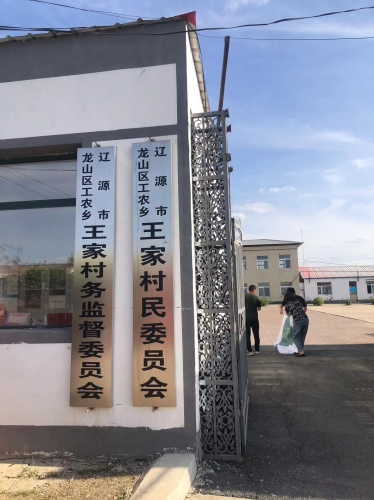 王家店村民委员会新项目启动，乡村振兴新篇章开启