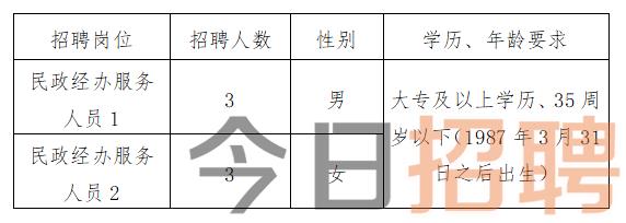 芷江侗族自治县统计局最新招聘信息与招聘细节深度解析