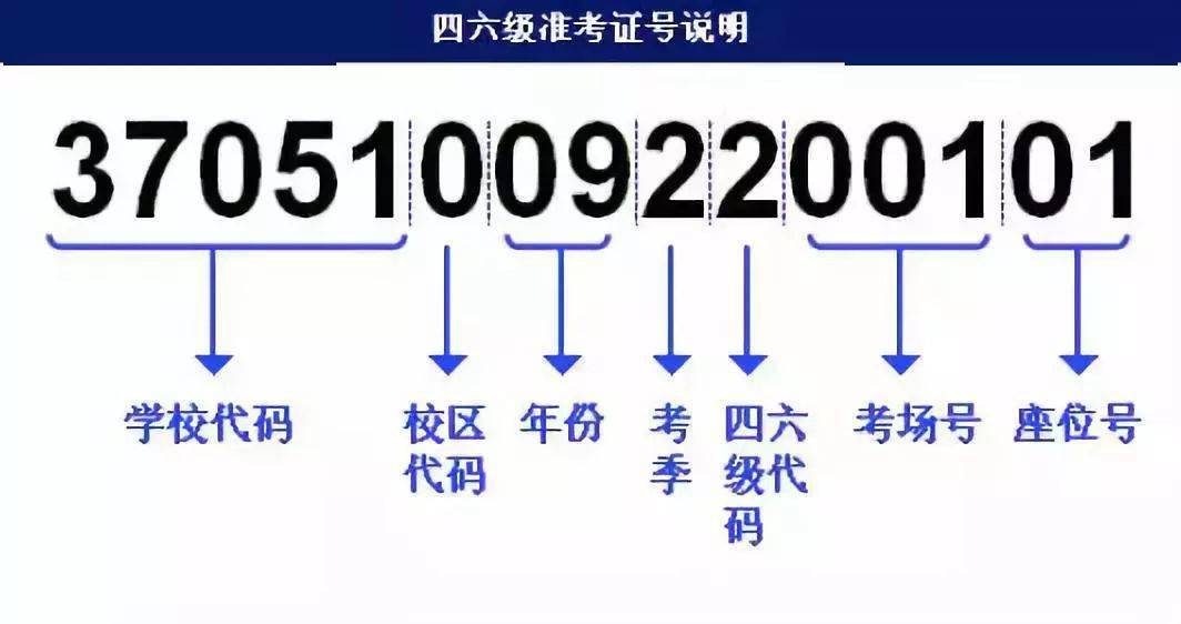 新澳最新最快资料新澳85期,快捷解决方案_The99.218