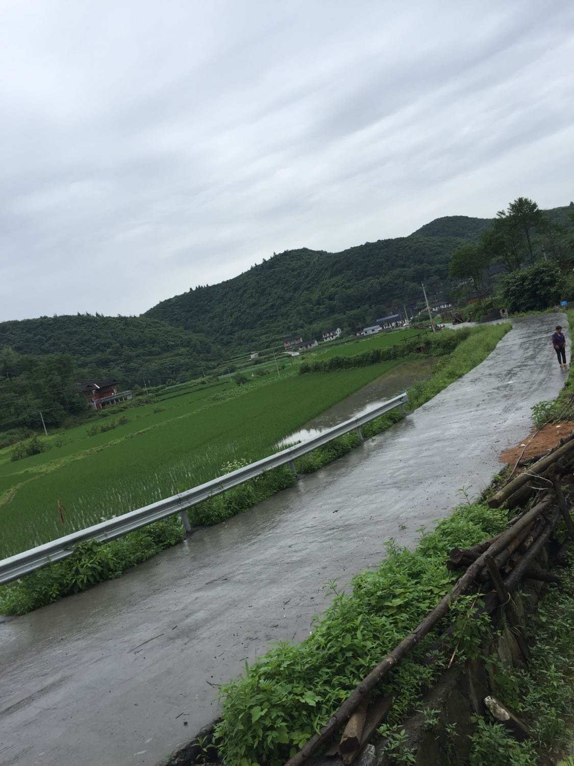 玛岗村天气预报最新详解