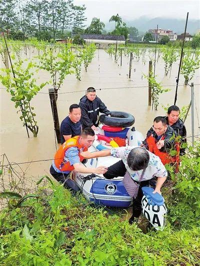 樟市镇最新交通新闻，迈向现代化交通体系的重要步伐