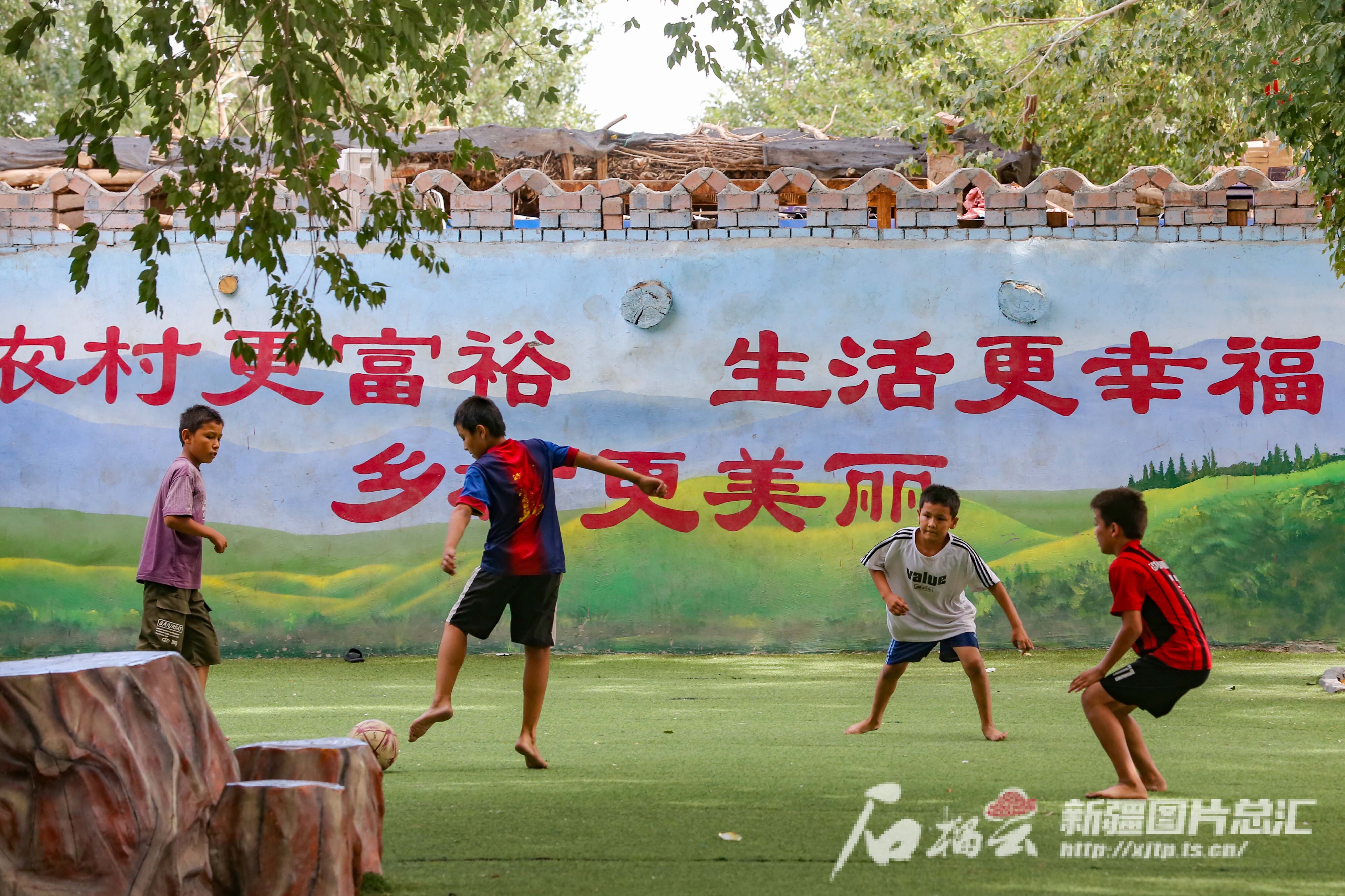 哈加村最新动态，发展与变迁报道