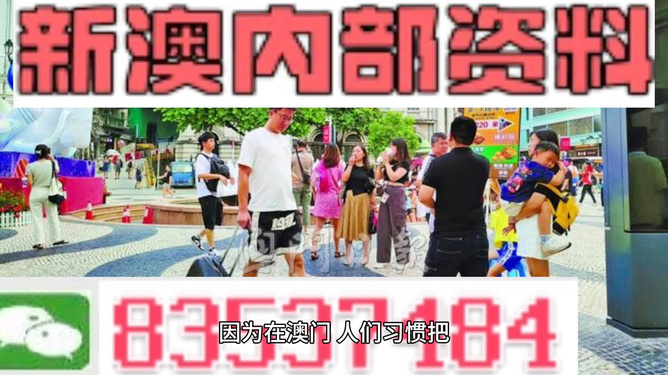 新澳门资料大全正版资料2024年免,调整细节执行方案_nShop66.111