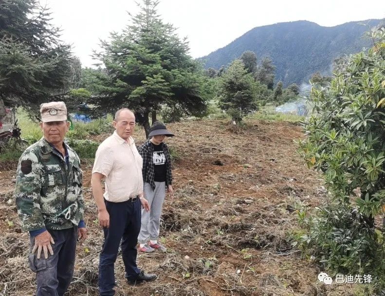 帕央村新领导，引领繁荣先锋，塑造乡村未来