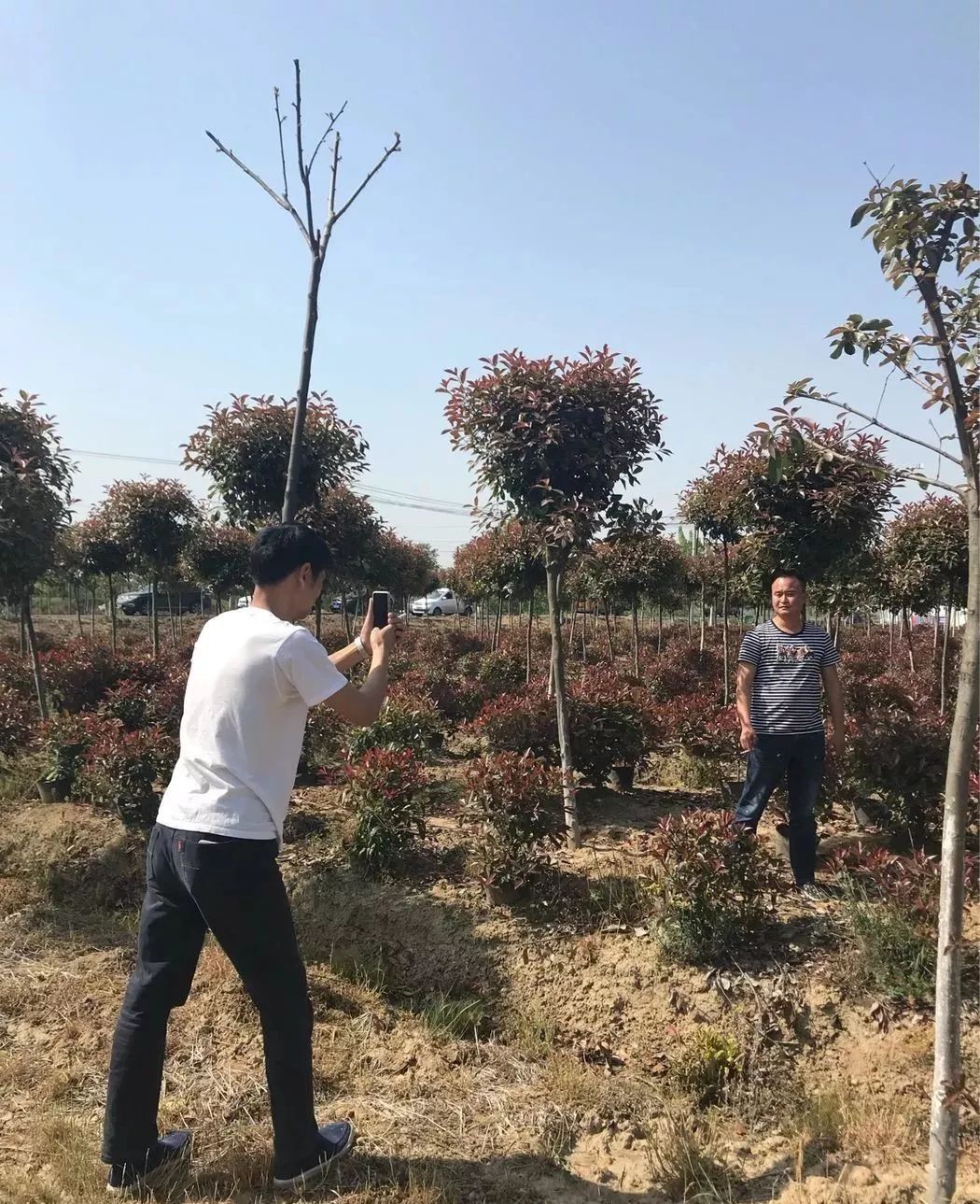 横山苗圃交通新闻更新