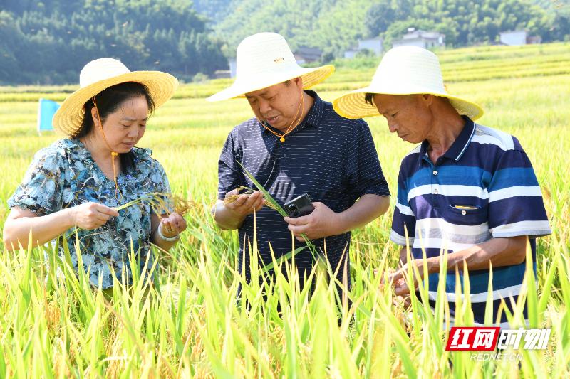 月峰瑶族乡交通新闻更新