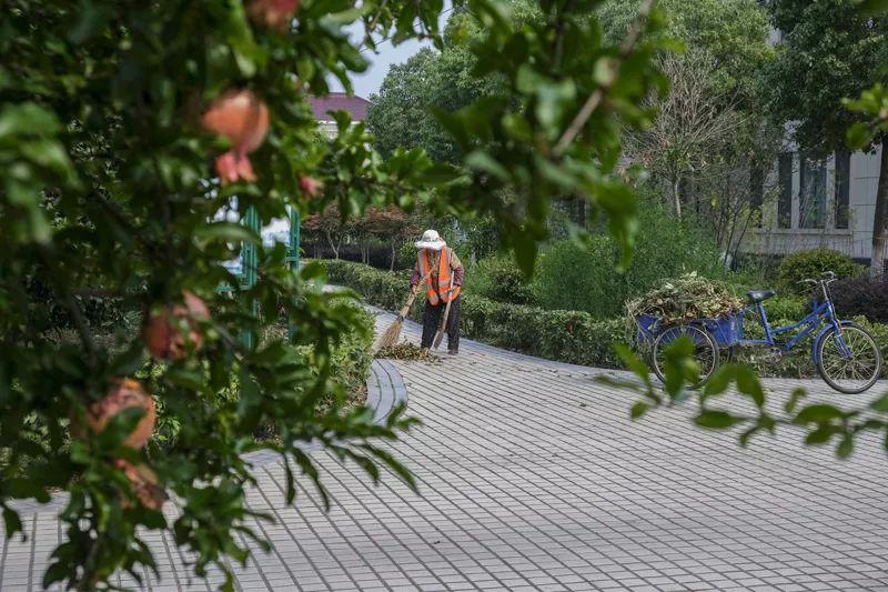 扬中市卫生健康局新项目——推动健康城市建设的全新篇章