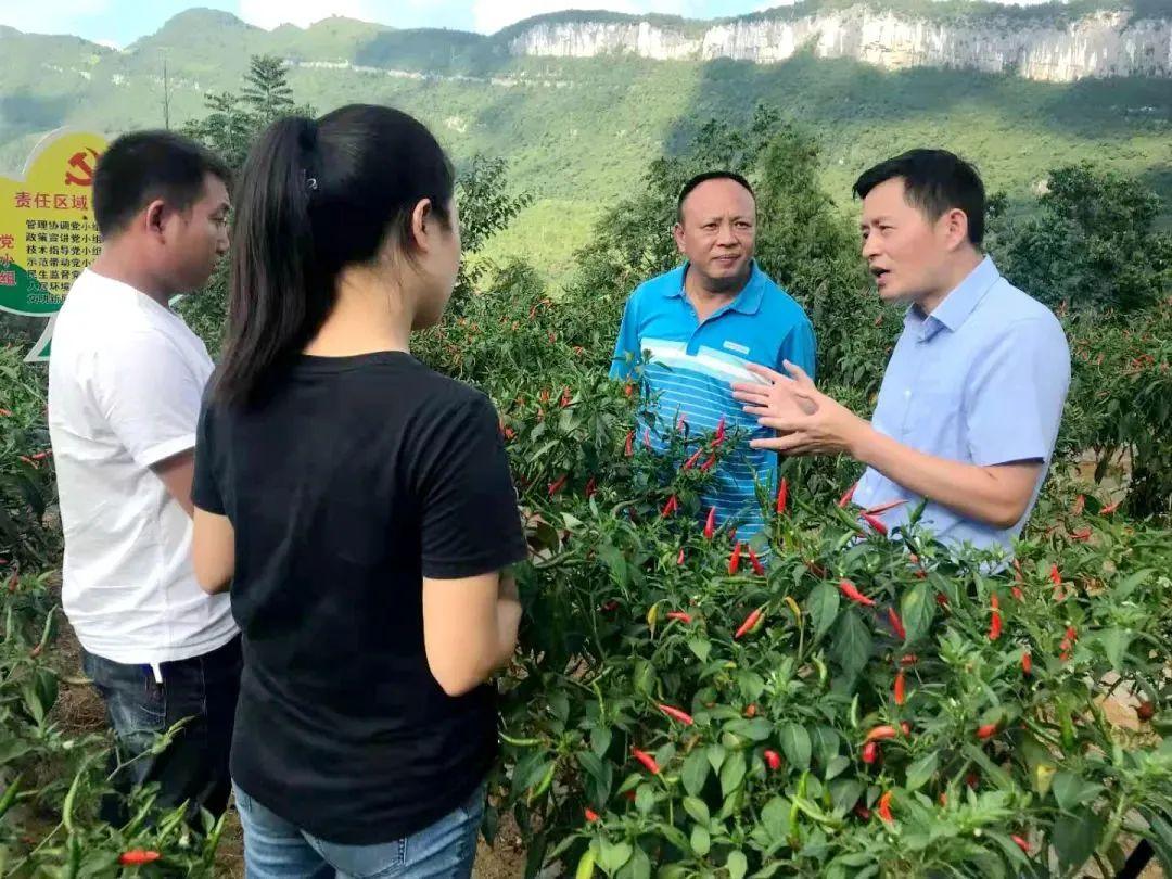 利民社区第二居委会最新资讯速递