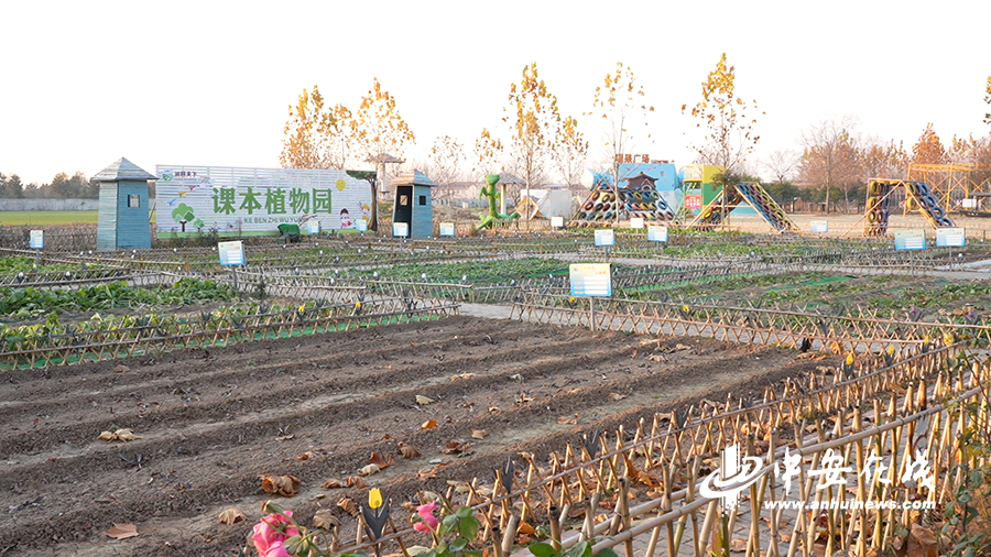 张掖农场虚拟村委会最新动态与新闻简报