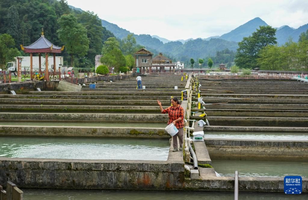 彭水苗族土家族自治县水利局最新动态报道