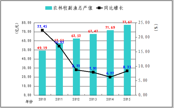 英德市统计局最新发展规划概览